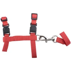 Harnais Pour Chat, Collier De Sangle En Nylon De Conception Réglable Avec Laisse, Harnais De Sécurité Pour Chat Pour Petit Chat, Chien Et Animal De Compagnie, Marche En Plein Air, Rouge -Amis Poils Soldes Boutique 97559907 2
