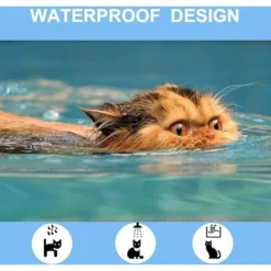 Collier Anti-tiques Pour Chats Et Chatons Avec Technologie De Confort, Prévention Des Puces Et Des Tiques Douce Et Flexible -Amis Poils Soldes Boutique 97746013 4