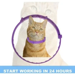 Collier Anti-tiques Pour Chats Et Chatons Avec Technologie De Confort, Prévention Des Puces Et Des Tiques Douce Et Flexible -Amis Poils Soldes Boutique 97746013 5