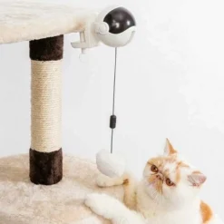 Jouet Intelligent Pour Chat,Jouet Pour Chat,Jouet Interactif Pour Chat,Puzzle Interactif De Boule De Levage Automatique Jouets Intelligents Pour Animaux De Compagnie (Blanc) -Amis Poils Soldes Boutique 97829037 3