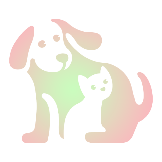 Amis Poils Soldes Boutique